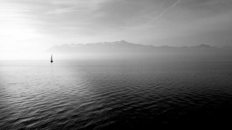 How To Recover Your 99 Exchange Id Login Details?